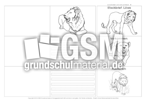 Flip-Flap-Löwe-2.pdf
